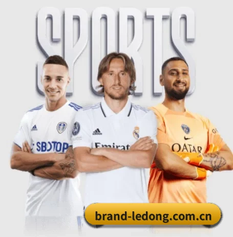 乐动体育五大内容板块,覆盖赛事直播与实时比分 - LEDONG SPORTS